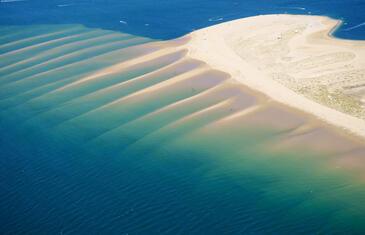 Banc d'Arguin, Bassin d'Arcachon © Etienne Pierart